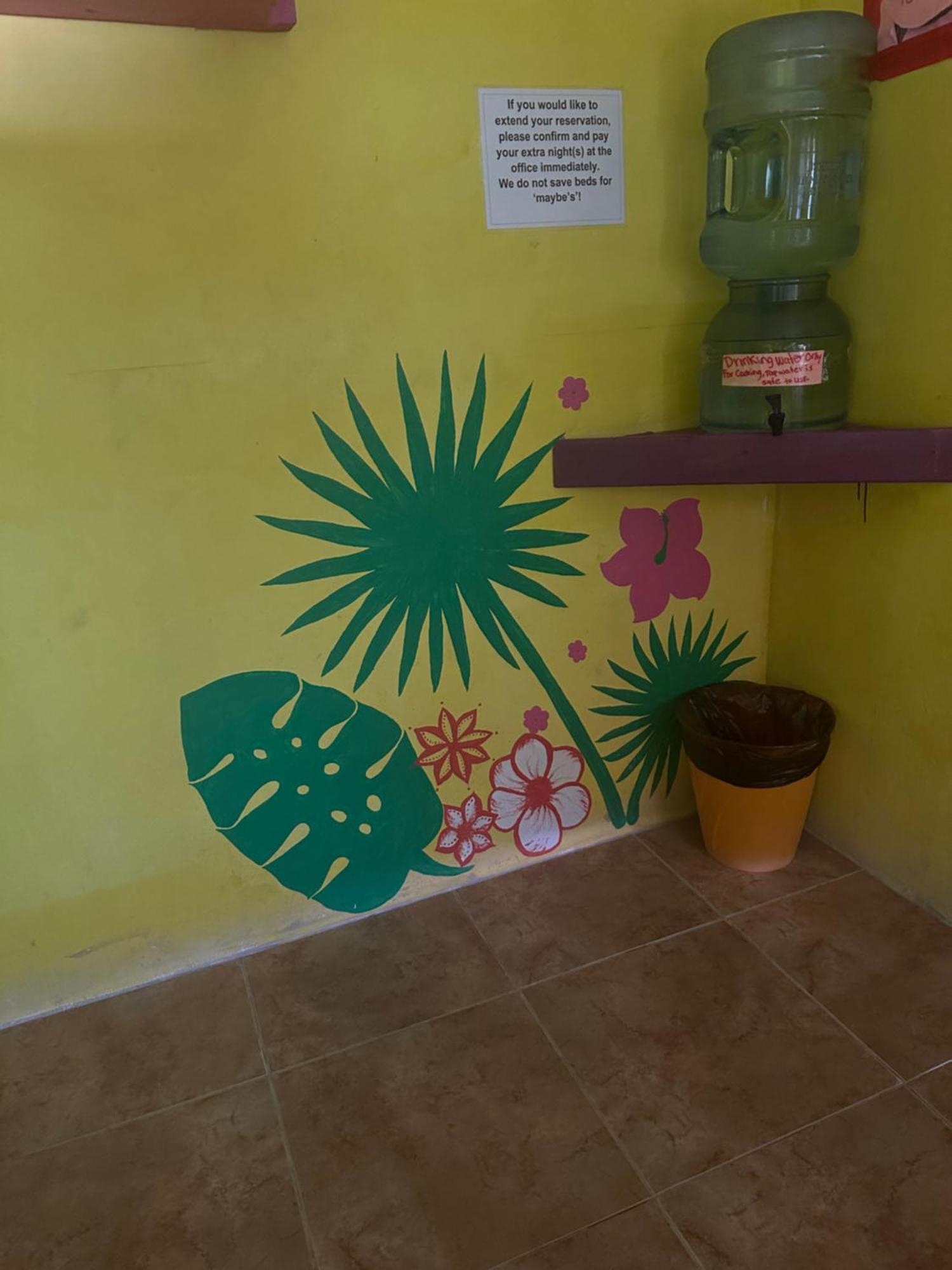 库尔克岛 Travellers Palm Backpackers旅舍 外观 照片